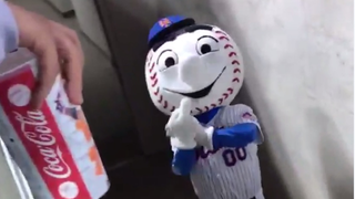 Mets Apologize After Mr. Met Gets Caught Flipping The Bird At A Fan
